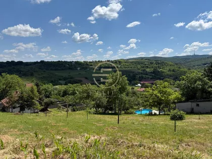 Sremska Kamenica | 4zida.rs