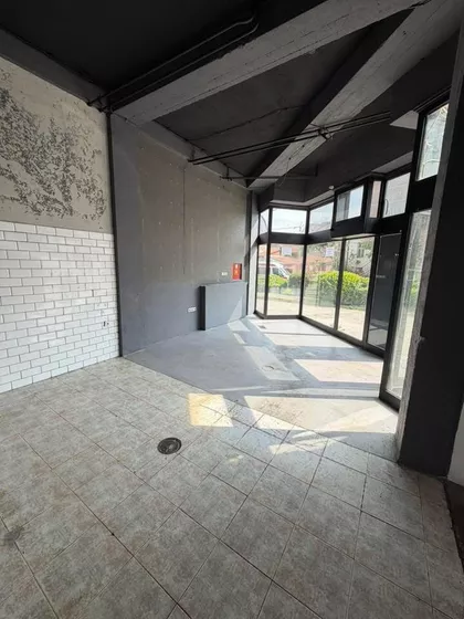 Cara Dušana | 4zida.rs