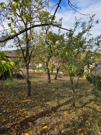 Vrdnik | 4zida.rs