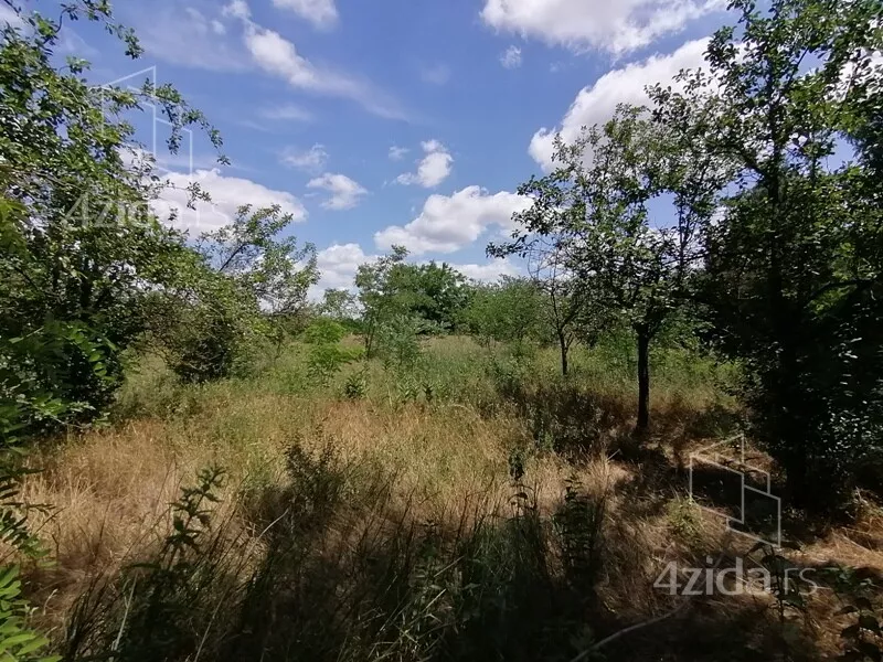 Plac | 4zida