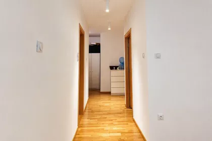 Bulevar Nemanjića | 4zida.rs