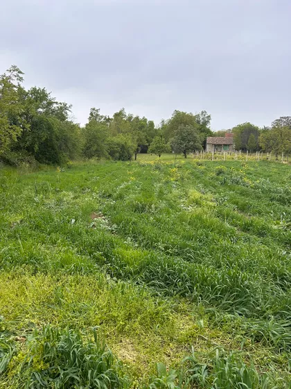 Slankamenački Vinogradi | 4zida.rs