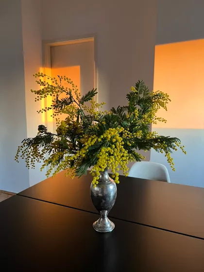 Svetozara Markovića | 4zida.rs