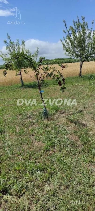 Poljoprivredno zemljište | 4zida