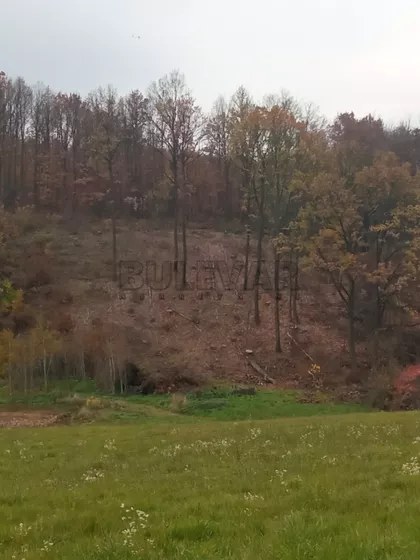 Grošnička | 4zida.rs