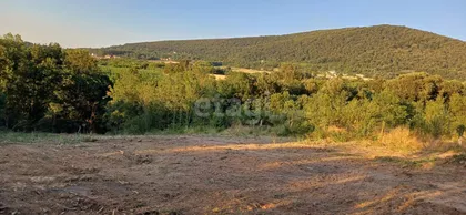 Solunska | 4zida.rs