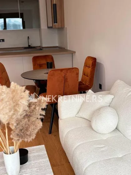 Dragoslava Srejovića | 4zida.rs