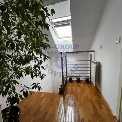 Nova Detelinara | 4zida.rs