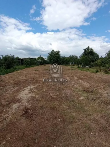 Surčin (mesto) | 4zida.rs