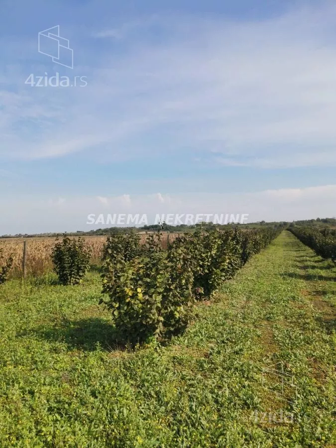 Poljoprivredno zemljište | 4zida