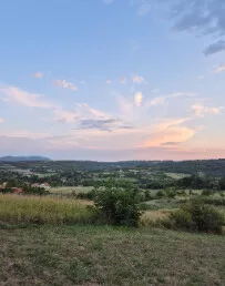 Save Kovačevića | 4zida.rs