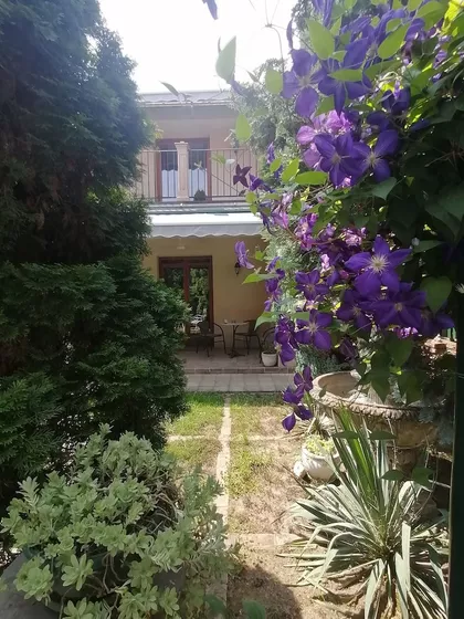 Visoka | 4zida.rs