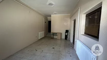 Salajka | 4zida.rs