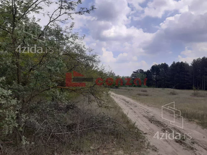 Plac | 4zida