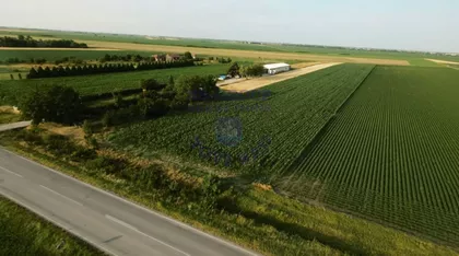 Međunarodni Put | 4zida.rs