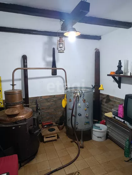 Vase Miskina | 4zida.rs