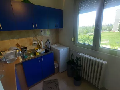 Stara Detelinara | 4zida.rs