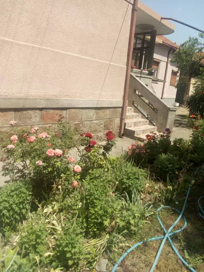 Omladinska | 4zida.rs