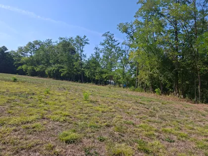 Nemanjina | 4zida.rs