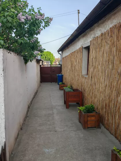 Bajski put | 4zida.rs