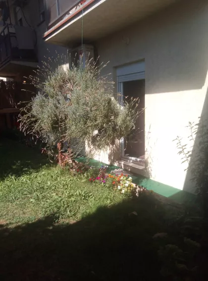 Vračar | 4zida.rs