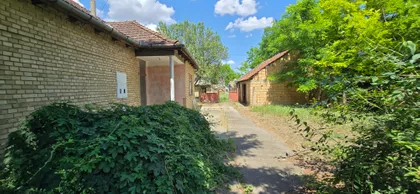 Pačir | 4zida.rs