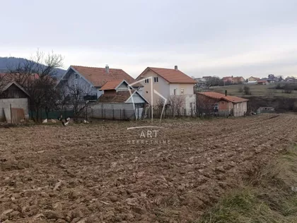 Jaroslava Černog | 4zida.rs