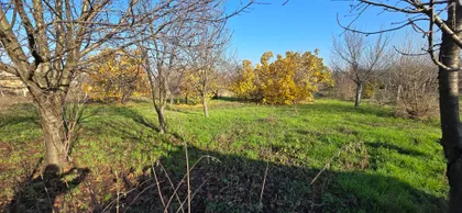 Lovćenac | 4zida.rs