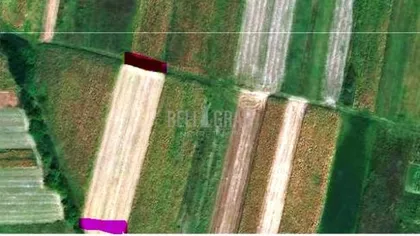 Palih Boraca | 4zida.rs