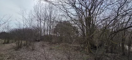 Srpski Šor | 4zida.rs