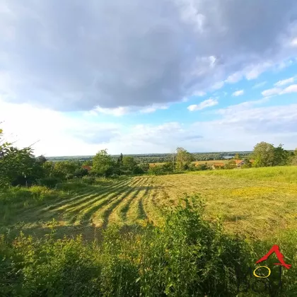 Čerević | 4zida.rs