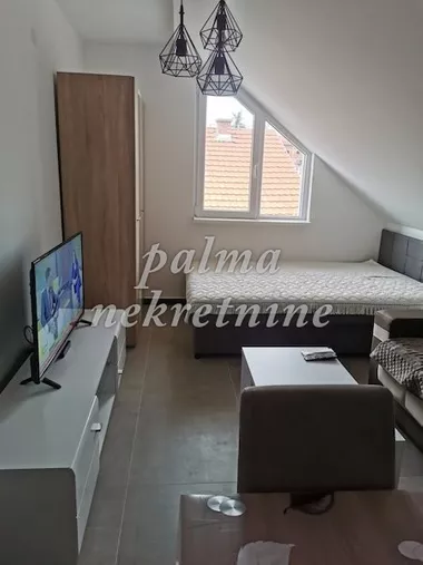 Sušica