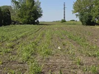 Aleksandrovo, Gradske lokacije, Subotica | 4zida.rs