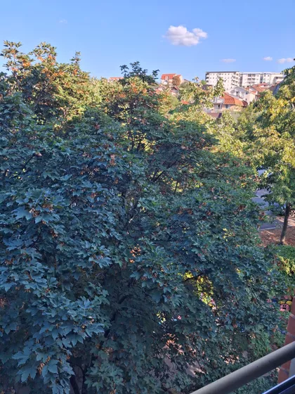 Višnjička Banja | 4zida.rs