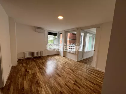 Svetozara Papića | 4zida.rs
