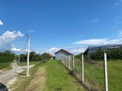 Krnule | 4zida.rs