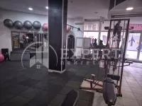 Lokal | 4zida