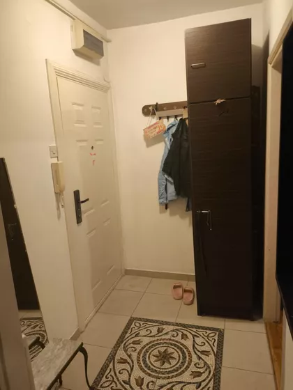 Luja Adamiča | 4zida.rs