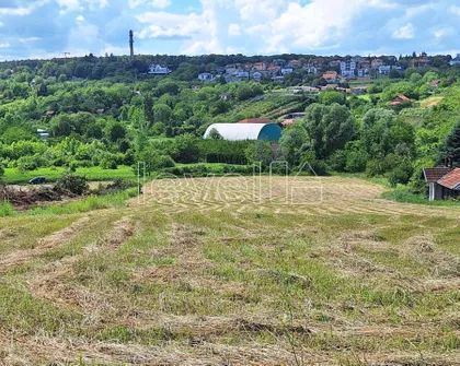 Alibegovac | 4zida.rs