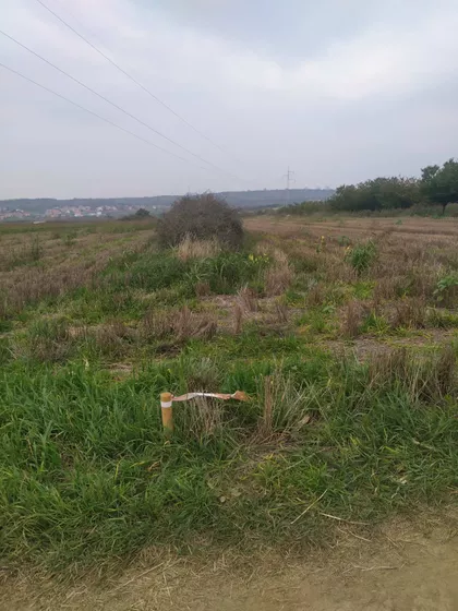 Krušik | 4zida.rs