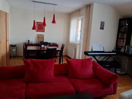 Nova Detelinara | 4zida.rs