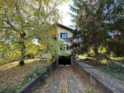 Momira Korunovića | 4zida.rs