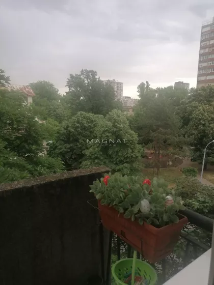 Braće Grim | 4zida.rs