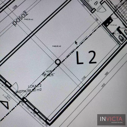 Salajka | 4zida.rs
