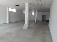 Lokal | 4zida