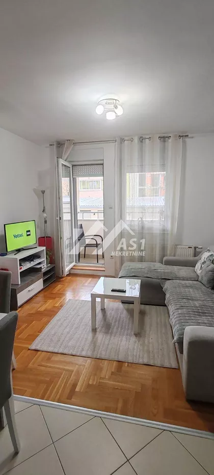 Miše Dimitrijevića | 4zida.rs