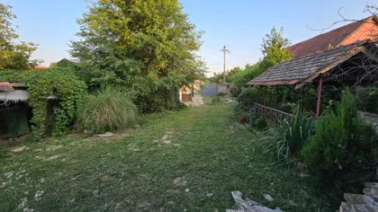 Stara Moravica | 4zida.rs