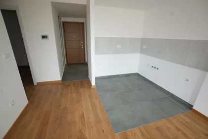 Vojvode Stepe | 4zida.rs