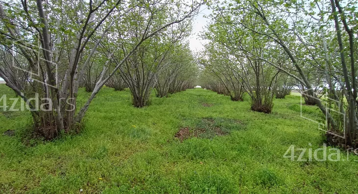 Poljoprivredno zemljište | 4zida