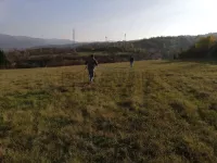 Apelovac, Palilula, Gradske lokacije, Niš | 4zida.rs